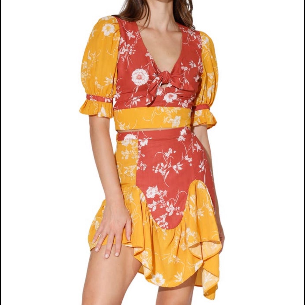 Walter baker 
Crystal asymmetrical floral colorblock skirt NWT $199